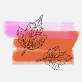 Neue Herbstkollektion